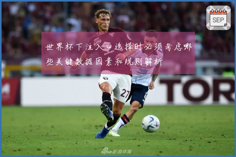 世界杯下注入口选择时必须考虑哪些关键数据因素和规则解析