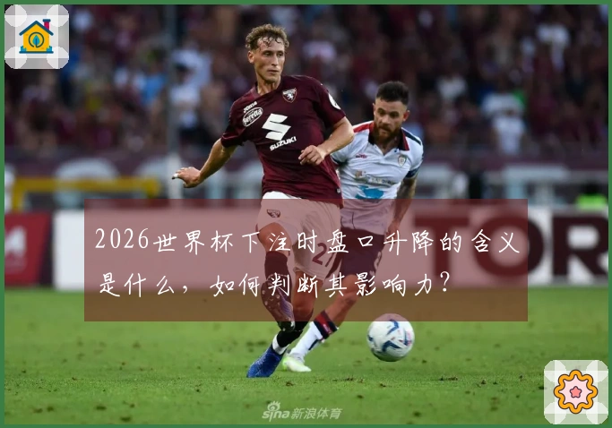 2026世界杯下注时盘口升降的含义是什么，如何判断其影响力？